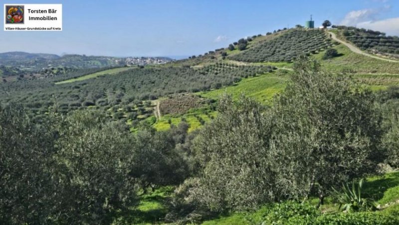 Kouses Kreta, Kouses: Baugrundstück 3.600 m² mit Baugenehmigung Grundstück kaufen